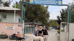 TARSUS MELEKLERİ’NDEN ‘4 EKİM HAYVANLARI KORUMA GÜNÜ’NDE CAN DOSTLARA SEVGİ