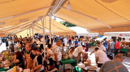 ULUSLARARASI TARSUS SARIULAK ZEYTİN FESTİVALİ ÜRETİCİYİ, KALİTEYİ VE DAYANIŞMAYI BULUŞTURDU